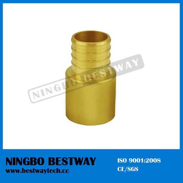 Ningbo Bestway Best Quality Pex Barbed Sw Adaptors