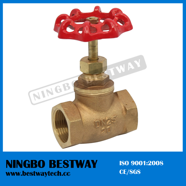 Bronze Globe Valve Manufacturer (BW-Q14A)