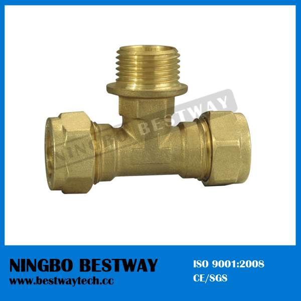 Brass Male Tee Hot Sale in China (BW-507)