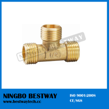Branch Pipe and Fitting (BW-644)