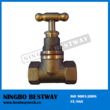 Hot Sale Gunmetal Stop Cock Valve Fast Supplier (BW-Q15)