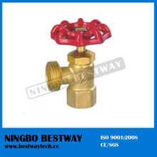 China Brass Boiler Drain Valve Hot Sale (BW-S21)