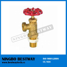 Ningbo Bestway 1/2&quot; Male Boiler Drain Valve (BW-S24)