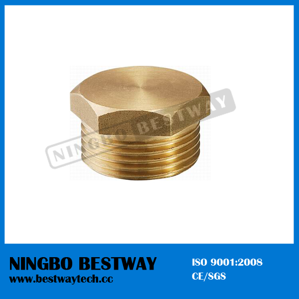 Brass Pipe Reducing Nipple Fitting Prices (BW-632)