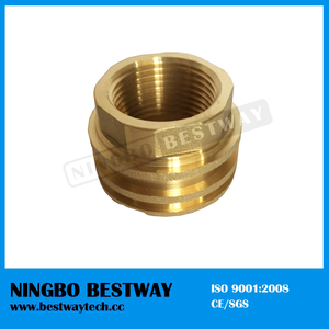 Male Thread Hexagonal PPR Fitting for Sale (BW-724)