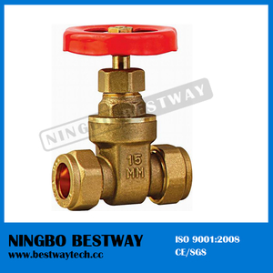 Forged Gate Valve with Brass Body Prices (BW-G11)