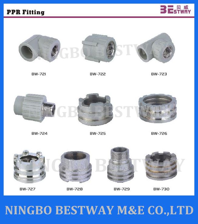 Brass Inserts/Copper Insert/PPR Fittings/ Brass PPR Insert