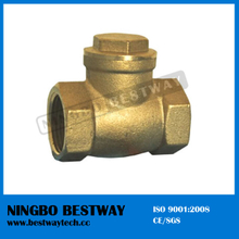 NSF approved new design vertical check valve (BW-LFC01)