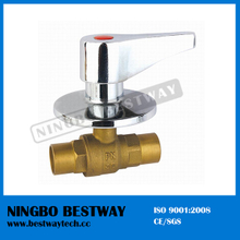 Built-in Ball Valve Manufacturer Fast Supplier (BW-B58)