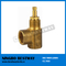 Hot Sale Gas Valve with High Quality (BW-V01)
