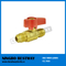 Hot Sale Brass Gas Ball Valve Fip X Flare (BW-USB08)