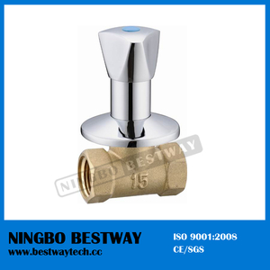 Brass Built in Valve Factory Fast Supplier (BW-S13)