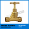 Economic Brass Stop Cock Valve for Water Pipe (BW-S10)