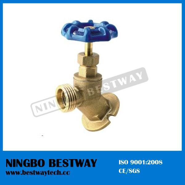 1/2 Inch Brass Fip Flanged Sill Cock (BW-Z50)