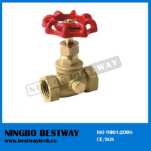 Hot Sale Brass Boiler Drain Valve with Good Quality (BW-S25)