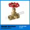 Hot Sale Brass Boiler Drain Valve with Good Quality (BW-S25)