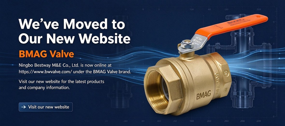 BMAG Valve Moved to Our New Website